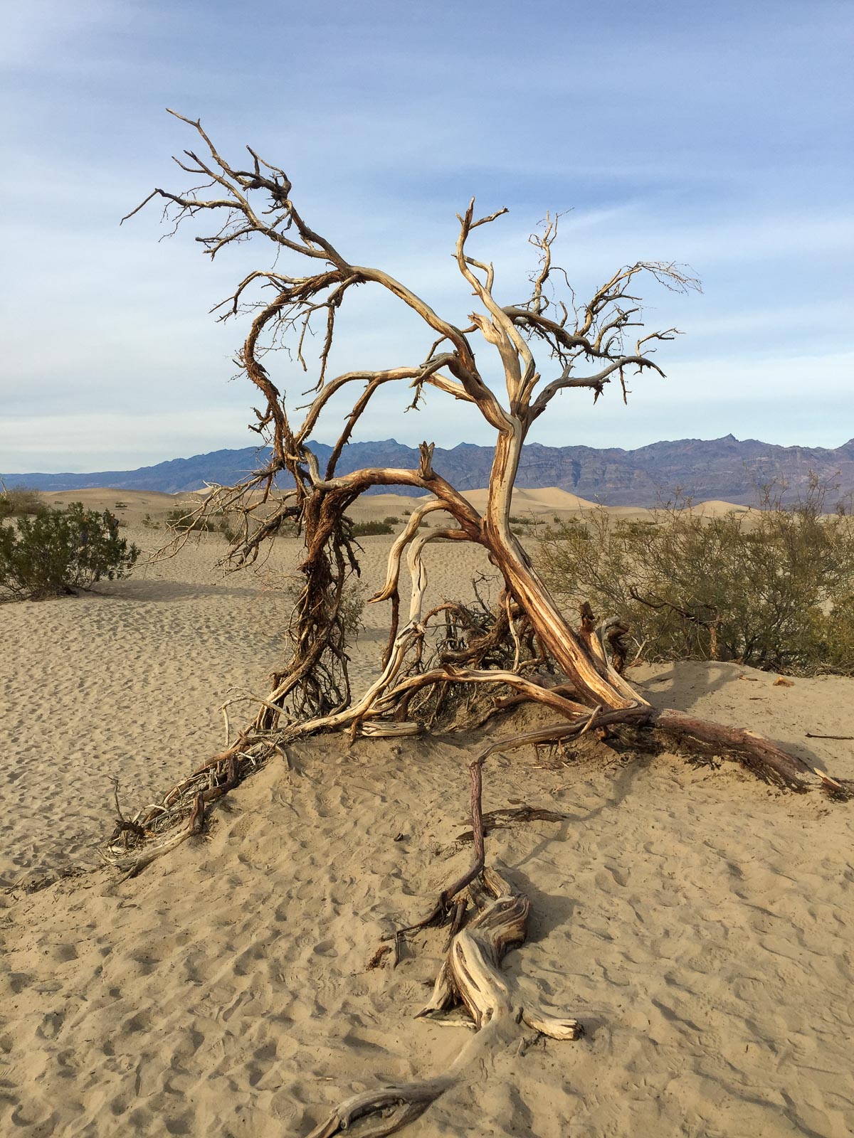 02 087 iPhone6 Steph IMG 4785