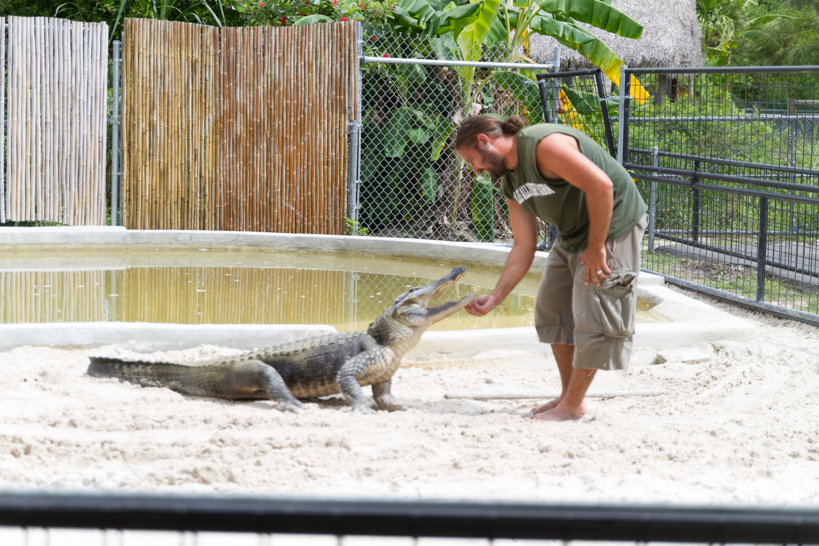 16 02 Homestead 020 IMG 5911