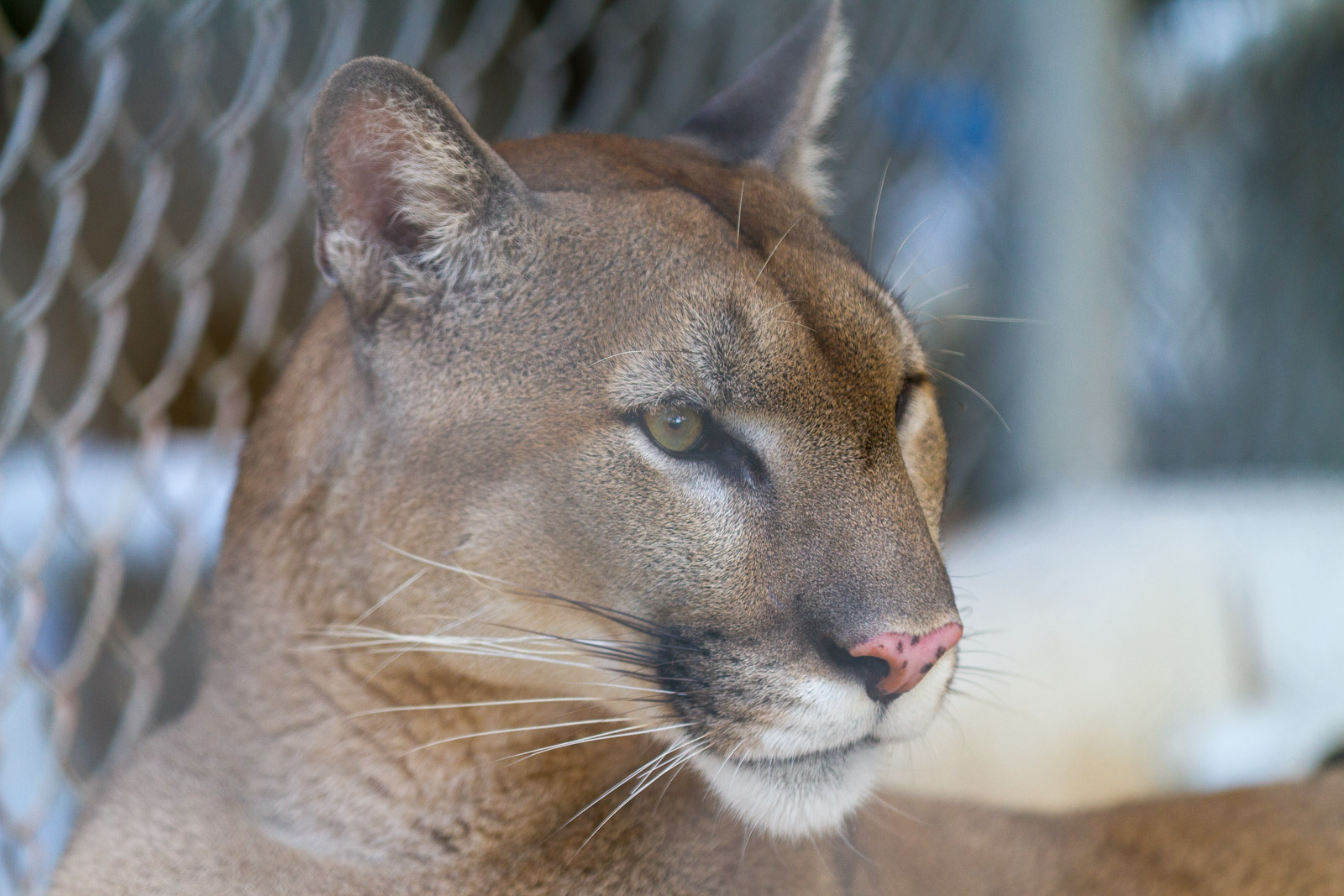 20 02 Homestead 017 IMG 5810